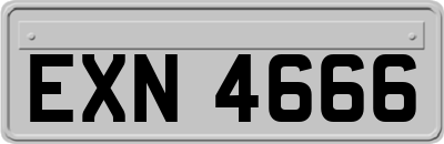 EXN4666