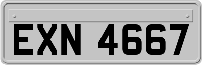 EXN4667