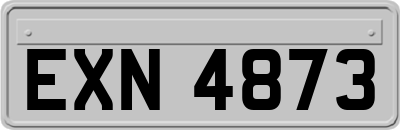 EXN4873