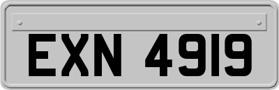 EXN4919