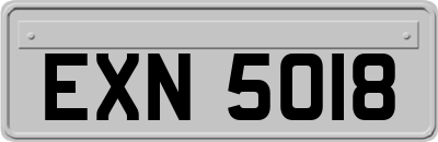 EXN5018