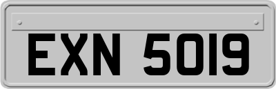 EXN5019