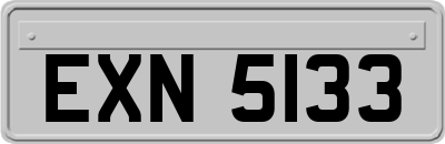 EXN5133