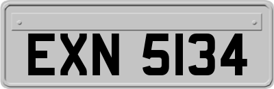 EXN5134