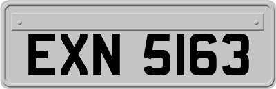 EXN5163