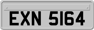 EXN5164