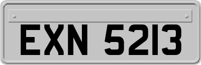 EXN5213