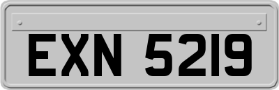 EXN5219