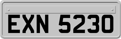 EXN5230