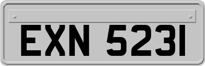 EXN5231