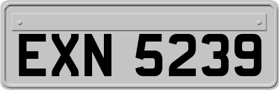 EXN5239