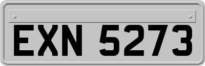 EXN5273