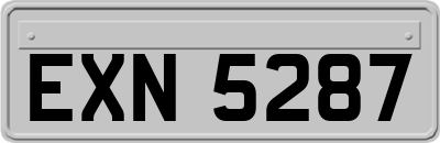 EXN5287