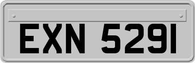 EXN5291