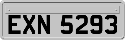 EXN5293