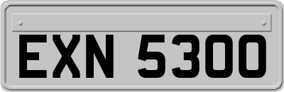 EXN5300