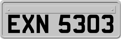 EXN5303
