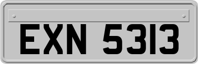 EXN5313