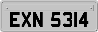 EXN5314
