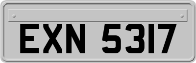 EXN5317