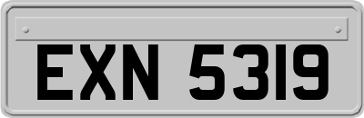 EXN5319