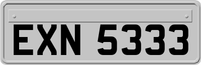 EXN5333