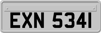 EXN5341