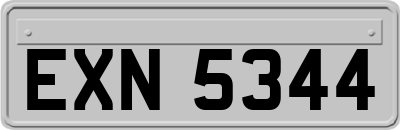 EXN5344