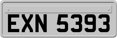 EXN5393