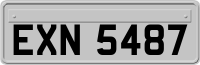 EXN5487
