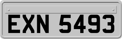 EXN5493