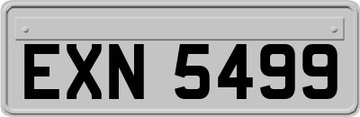 EXN5499