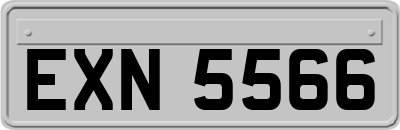 EXN5566
