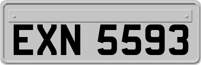 EXN5593