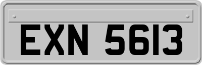 EXN5613