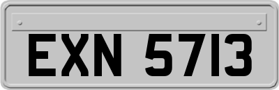 EXN5713