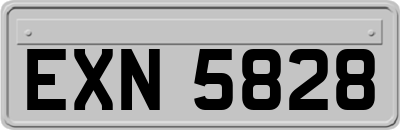 EXN5828