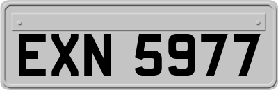EXN5977