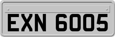 EXN6005
