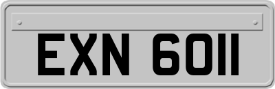 EXN6011