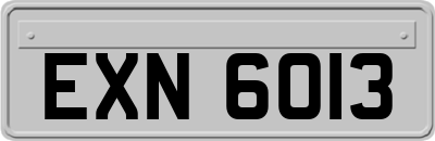 EXN6013