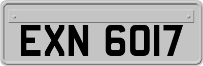 EXN6017