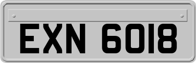 EXN6018