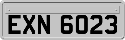 EXN6023