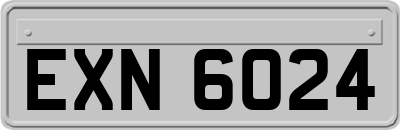 EXN6024