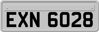 EXN6028