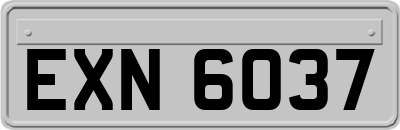 EXN6037