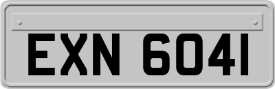 EXN6041