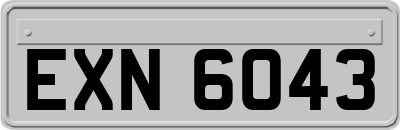 EXN6043