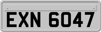 EXN6047